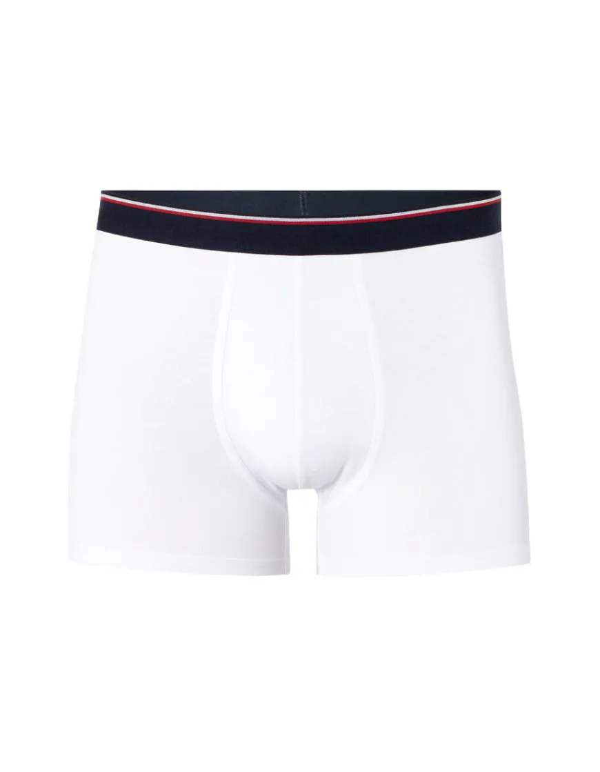 Celio Boxer coton stretch ceinture contrastée -^Homme Boxers