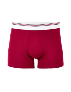 Celio Boxer coton stretch ceinturé contrastée - prune^Homme Boxers