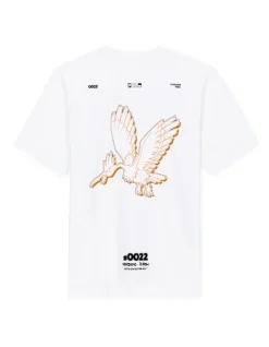 Celio Pokémon - T-shirt Rapasdepic^Homme Collabs|T-Shirts