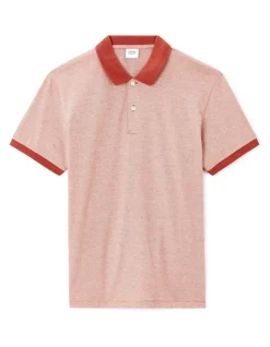 Celio Polo regular 100% coton - marron^Homme Polos