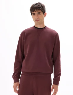 Celio Sweat regular col rond 100% coton - bordeaux^Homme Sweats