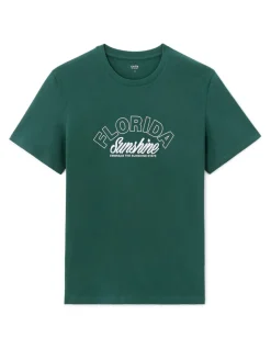 Celio T-shirt straight col rond 100% coton - vert^Homme T-Shirts